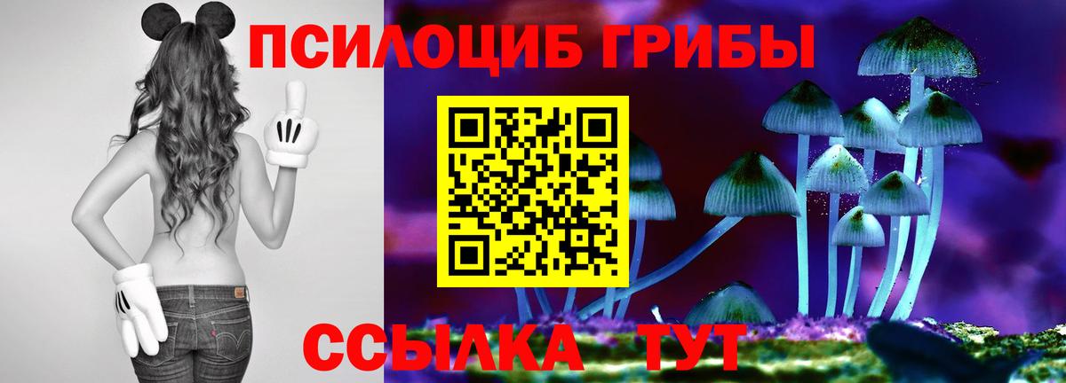 Таганрог  Галлюциногенные грибы Psilocybe  Галлюциногенные грибы Magic Shrooms  Вход с VPN 